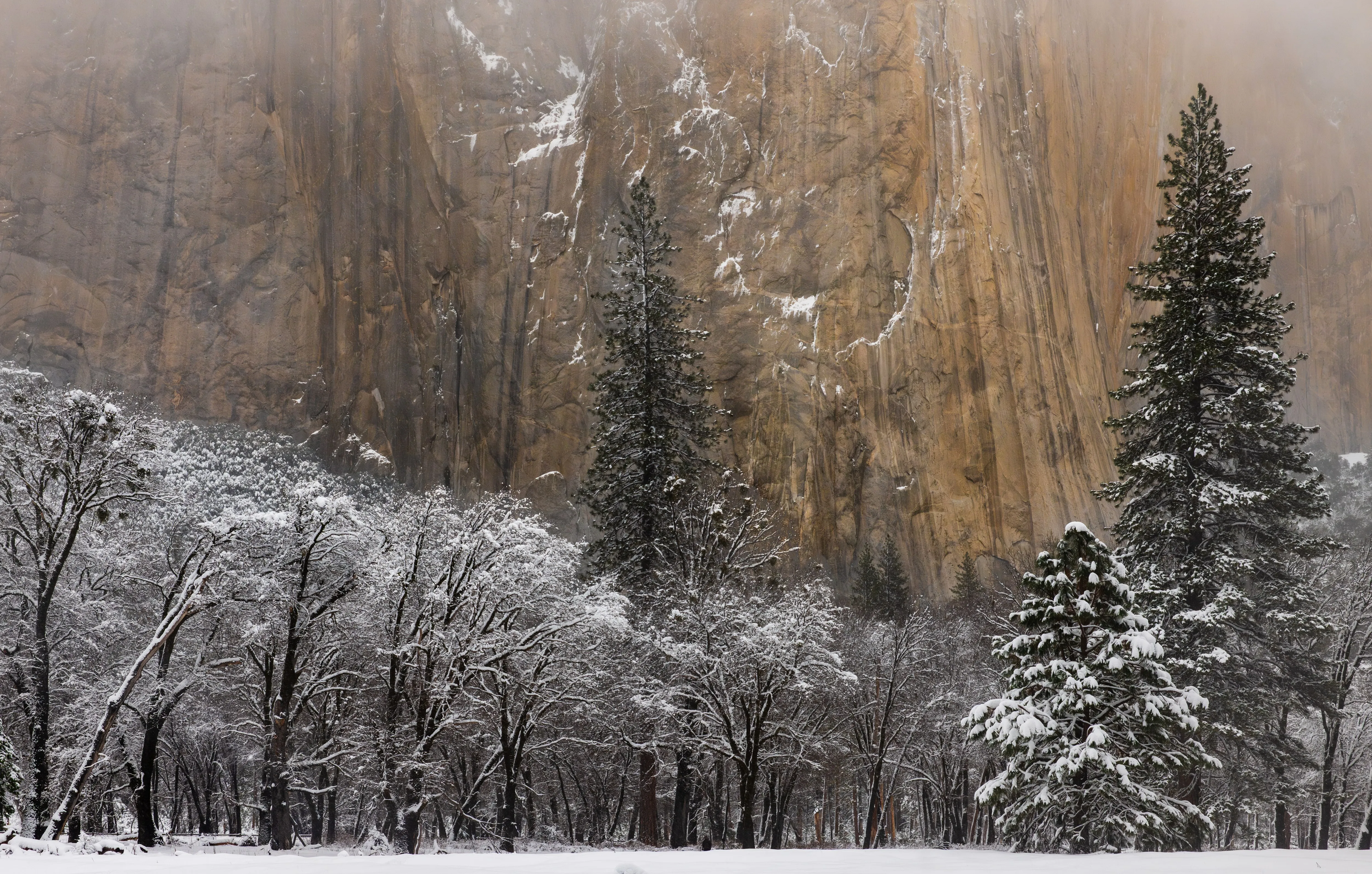 Beneath El Capitan — fine art landscape photography print by Paul Anderson, Yosemite, California
